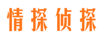 连山市婚外情调查